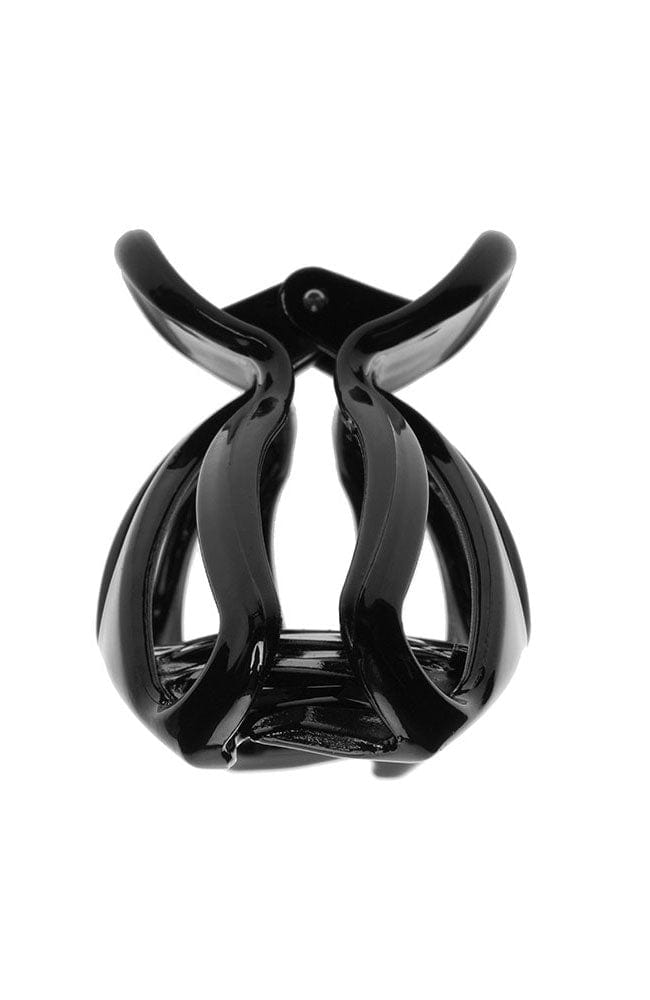 Large Nautilus Claw Clip
